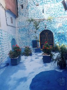 une cour avec des plantes en pot devant un bâtiment dans l'établissement casa malek, à Chefchaouen