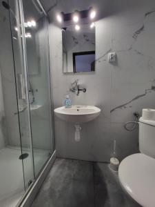a bathroom with a sink and a shower and a toilet at Marina Niedźwiedzi Róg in Ruciane-Nida