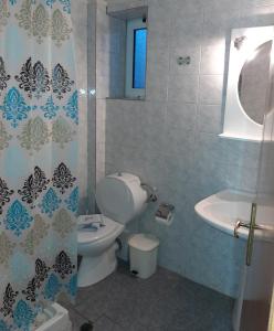 uma casa de banho com um WC, um lavatório e um chuveiro em Armonia GeoStudios em Georgioupolis