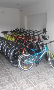 Jazda na bicykli v okolí ubytovania Willa CHWOST zlokalizowana w pobliżu Term i Zakopanego