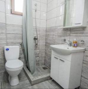 a bathroom with a toilet and a sink and a shower at Apartman NIKOLIJA 1 in Bajina Bašta