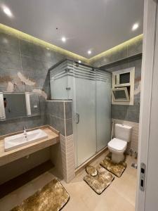 ein Bad mit einer Dusche, einem WC und einem Waschbecken in der Unterkunft B-Home 2 in Kairo