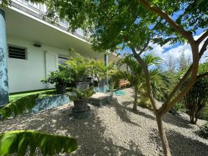 a backyard with plants and a house at View apartment - St Barts in Marigot