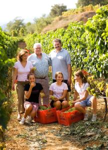 um grupo de pessoas posando para uma imagem numa vinha em Agriturismo del Pigato - Bio Vio em Albenga