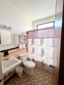 a bathroom with a toilet and a sink and a shower curtain at Lenox Hotel and Suites in Buffalo