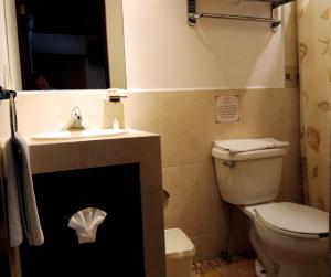 uma casa de banho com um WC e um lavatório em Hotel Mesón de los Remedios em Morelia