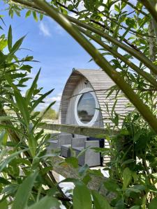une cabane dans les arbres avec une fenêtre au milieu de quelques arbres dans l'établissement Armadilla 3 at Lee Wick Farm Cottages & Glamping, à Clacton-on-Sea