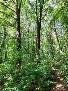 Paesaggio naturale nelle vicinanze della casa vacanze