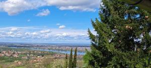 vista su una città con un albero e un fiume di Vila Teja a Ledinci