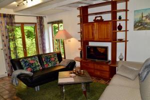sala de estar con sofá y TV en Wohnidylle auf schönem Anwesen im Wald, en Bad Honnef am Rhein