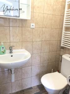 uma casa de banho com um lavatório e um WC em Apartment Yorkshire em Bujanov