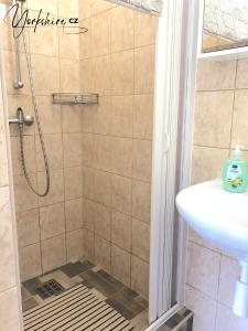 uma casa de banho com um chuveiro e um lavatório. em Apartment Yorkshire em Bujanov