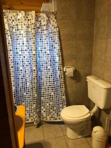 a bathroom with a toilet and a shower curtain at Cabañas Ojo de Cielo in San Carlos de Bariloche