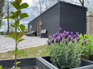 Een tuin van PRIMÁTOR CAMPING RESORT LITOMYŠL