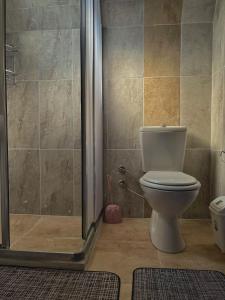 a bathroom with a toilet and a shower at El-Ya Bungalov ve pansiyon in Dalaman