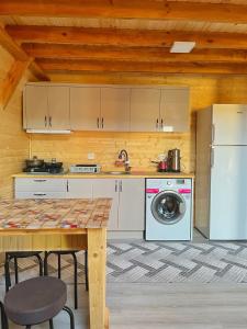 a kitchen with a refrigerator and a washing machine at El-Ya Bungalov ve pansiyon in Dalaman