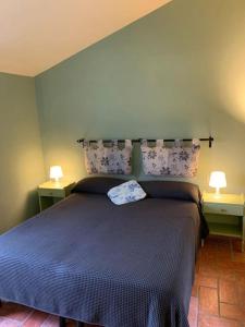 ein Schlafzimmer mit einem blauen Bett mit zwei Lampen in der Unterkunft Quiet and Cozy home with Wi-Fi CASA PREARINO in Vernazza