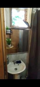 a bathroom with a sink and a mirror at Still cabin in Cetinje