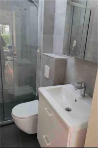 a bathroom with a toilet and a sink and a shower at Bungalow near beach with large private garden - not for companies in Ouddorp