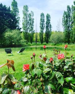 a garden with roses and two chairs in the grass at Gîte de charme proche zoo de Beauval in Nouans-les-Fontaines