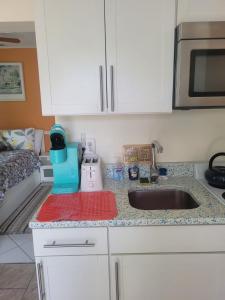 a kitchen counter with a sink and a microwave at ~ Cozy In-law Apartment Close to Siesta Key ~ in Sarasota