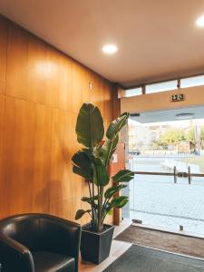 Fotografie z fotogalerie ubytování Hotel Mar Azul v destinaci Espinho