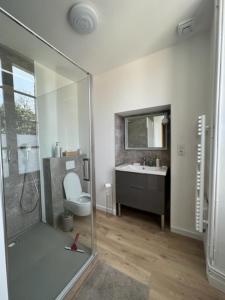 La salle de bains est pourvue d'une douche, de toilettes et d'un lavabo. dans l'établissement Le Domaine de la Gravette, 