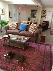 a dog laying on a rug in a living room at Mancos Inn in Mancos