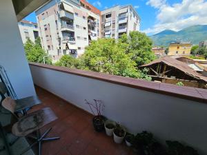 een balkon met potplanten en uitzicht op de gebouwen bij Tower Bridge Apartment in Tirana