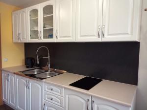 Køkken eller tekøkken på Dolenjska vila with private JACUZZI and SAUNA