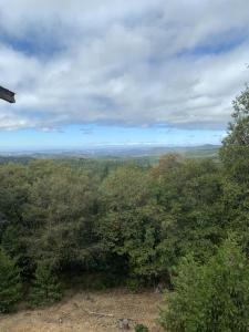 una vista aérea de un bosque con árboles y nubes en Hidden Views A Duplex, en Twain Harte