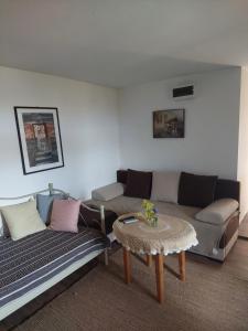 Χώρος καθιστικού στο Nešić apartmani, Gornji Gajevi