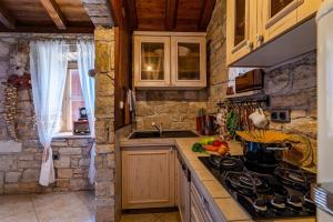 Kuchyň nebo kuchyňský kout v ubytování Villa Gora