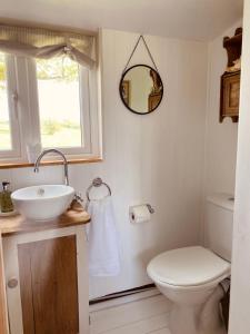 ein Badezimmer mit einem Waschbecken, einem WC und einem Spiegel in der Unterkunft Hideaway in the Hills in Church Stretton