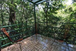 two chairs sitting on a deck with trees in the background at The Green Tree Lodge in Monteverde Costa Rica