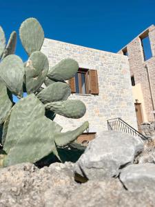 a sculpture of a cactus in front of a building at kir-Yiannis stonehouse @Areopoli in Areopolis