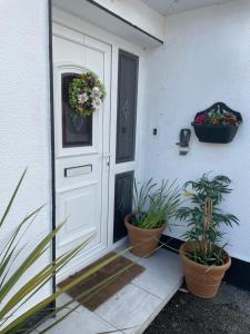 a white door with two potted plants next to it at The Bungalow Castlepollard in Westmeath