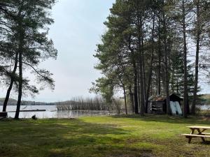 een tent en een picknicktafel naast een meer bij The “Lily” waterfront Muskoka cottage in Utterson