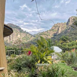 d'un jardin avec des plantes offrant une vue sur les montagnes. dans l'établissement Casa IxeYolo, à Amatlán