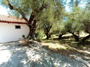 Vonkajšia záhrada v ubytovaní Xigia hideaway - panoramic sea view house