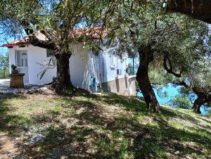 Vonkajšia záhrada v ubytovaní Xigia hideaway - panoramic sea view house