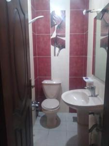 een badkamer met een toilet en een wastafel bij شقة بالاسكندرية سوبر لوكس بالمعمورة الشاطئ in New cairo