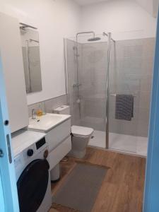 a bathroom with a shower and a toilet and a sink at Casa Rocha Velha con piscina y terraza particular in Santiago de Compostela