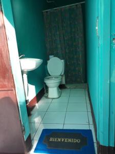 La salle de bains est pourvue de toilettes et d'un lavabo. dans l'établissement Hostal isla natal, à Moyogalpa