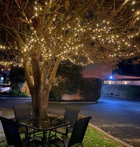 Mitchell On Main في بيرنسدال: طاولة وكراسي تحت شجرة مع أضواء