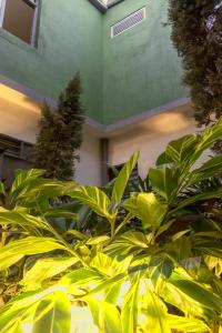 Κήπος έξω από το Ventiuna Hotel y Coliving