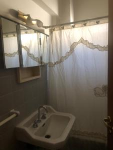 baño con lavabo y cortina de ducha en Corazón de Mendoza en Mendoza