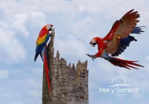 two birds perched on top of a building at Mar y Sombra Villas in Quepos