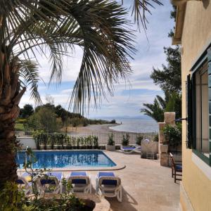 ein Swimmingpool mit Stühlen und einer Palme in der Unterkunft Villa Sea Mill in Mirce