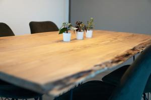 una mesa de madera con tres macetas. en Business & Family - Zentral, 24h Check-In, XXL TV, en Siegburg